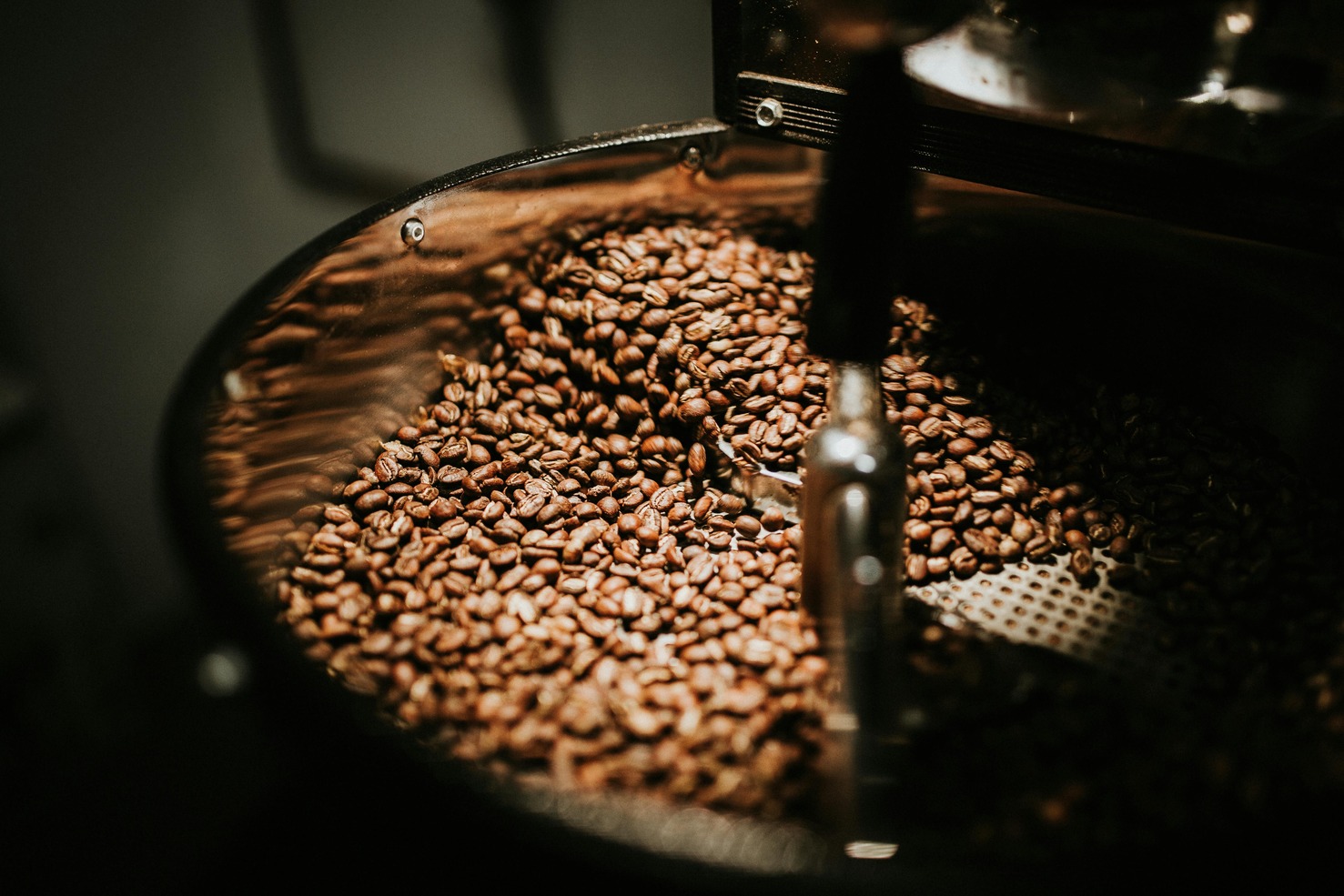 Freshly roasted coffee beans